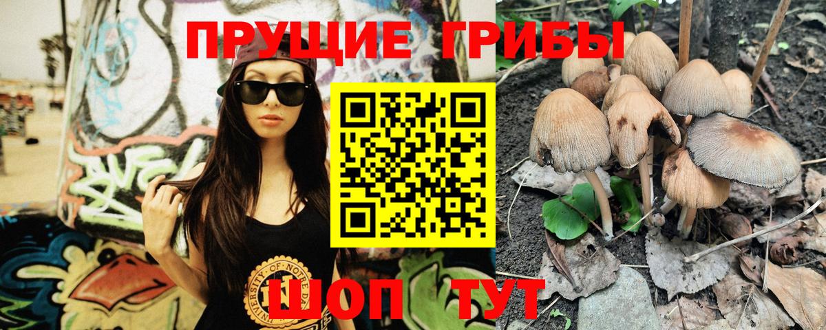 Псилоцибиновые грибы Magic Shrooms  Вход с VPN  где найти наркотики  Галлюциногенные грибы GOLDEN TEACHER  Кумертау 